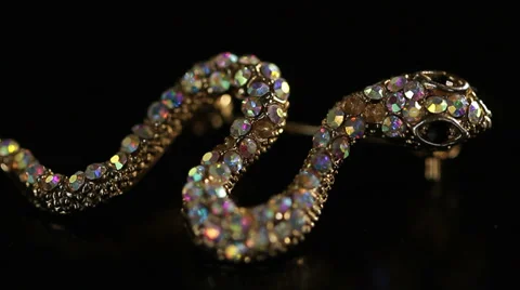 Bijouterie of Serpent Video stock 33415511