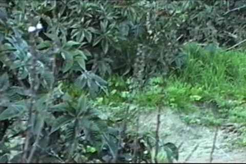 Bike 5 Stock Footage 107720