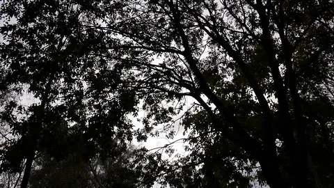 Bike backlit 動画素材 73986508