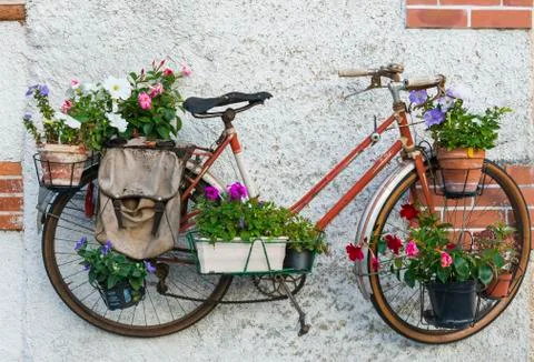 Bike with flowers Stock Photos