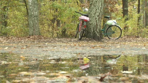 Bike in forest Stock Footage 783398