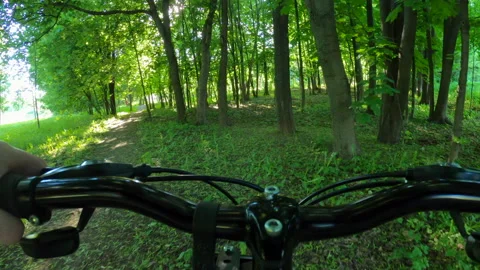 Bike in the forest 库存影片 196922299