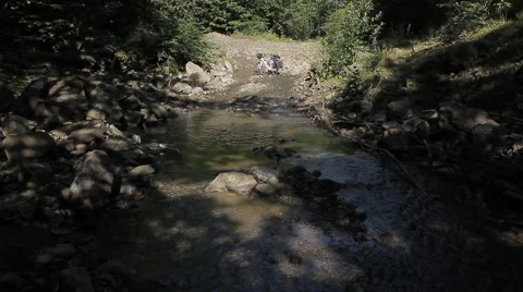 Bike in the forest (by the small river) Video stock 41364255