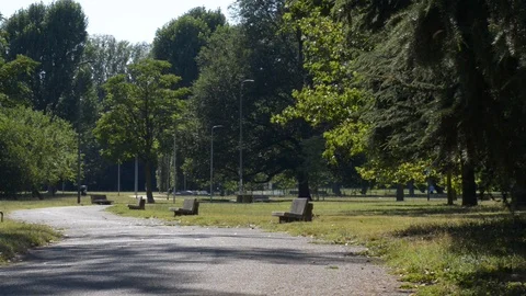 By bike in the park in the summer Stock Footage 112777713