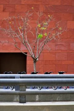 Bike parking in front of red wall Stock Photos