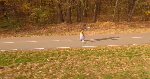 The bike path and the forest. Video stock 97887981