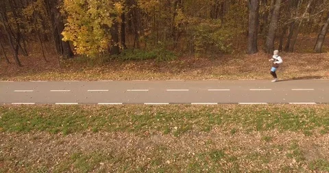 The bike path and the forest. Video stock 97888426
