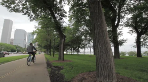 Bike Path in the City next to Trees, Street Stock Footage 53895853