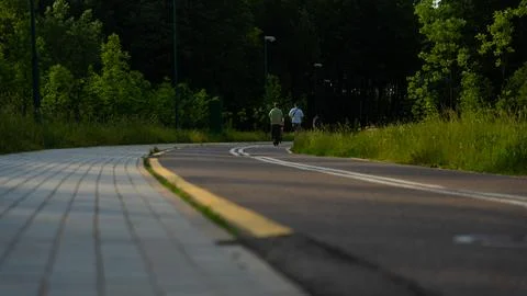 Bike path in the evening in the forest next to the river Stock Photos