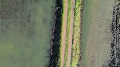 Bike on the path on the lake Vidéo 295633995