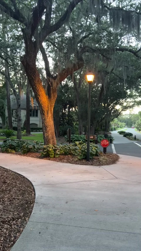 Bike path leading to a lamp post, a stop sign in a tree covered neighborhood Video stock 196818900