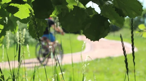 Bike path in the park Stock Footage 39565496