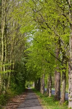 Bike path Foto stock