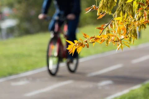 Bike path Stock Photos