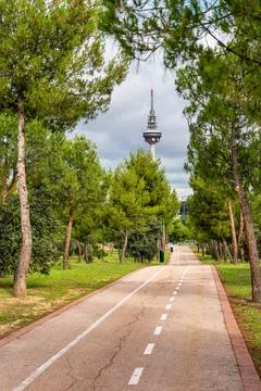 Bike path in the pine forest next to the communications tower of Madrid. Foto stock