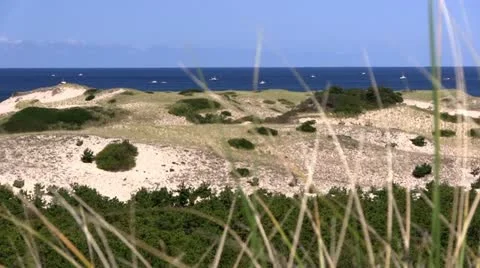 Bike path Provincetown Cape Cod; 7 Stock Footage 12370278