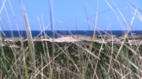 Bike path Provincetown Cape Cod; 8 Stock Footage 12370439