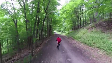 Bike path through the woods Stock Footage 76893293