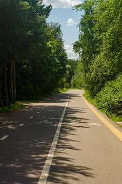 A bike path with two parallel white lines along it in a summer day. Stock Photos