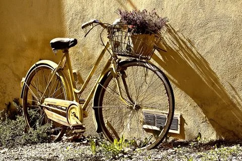 Bike Fotos Stock
