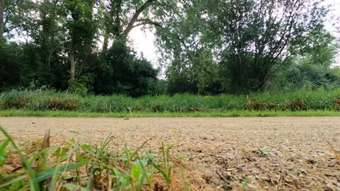 Bike race Timelapse Stock Footage 247408170