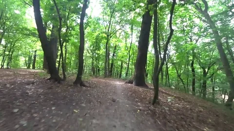 A bike ride quickly through the forest. Stock Footage 84234448
