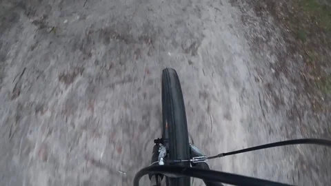 A bike ride quickly through the forest. Stock Footage 84234455