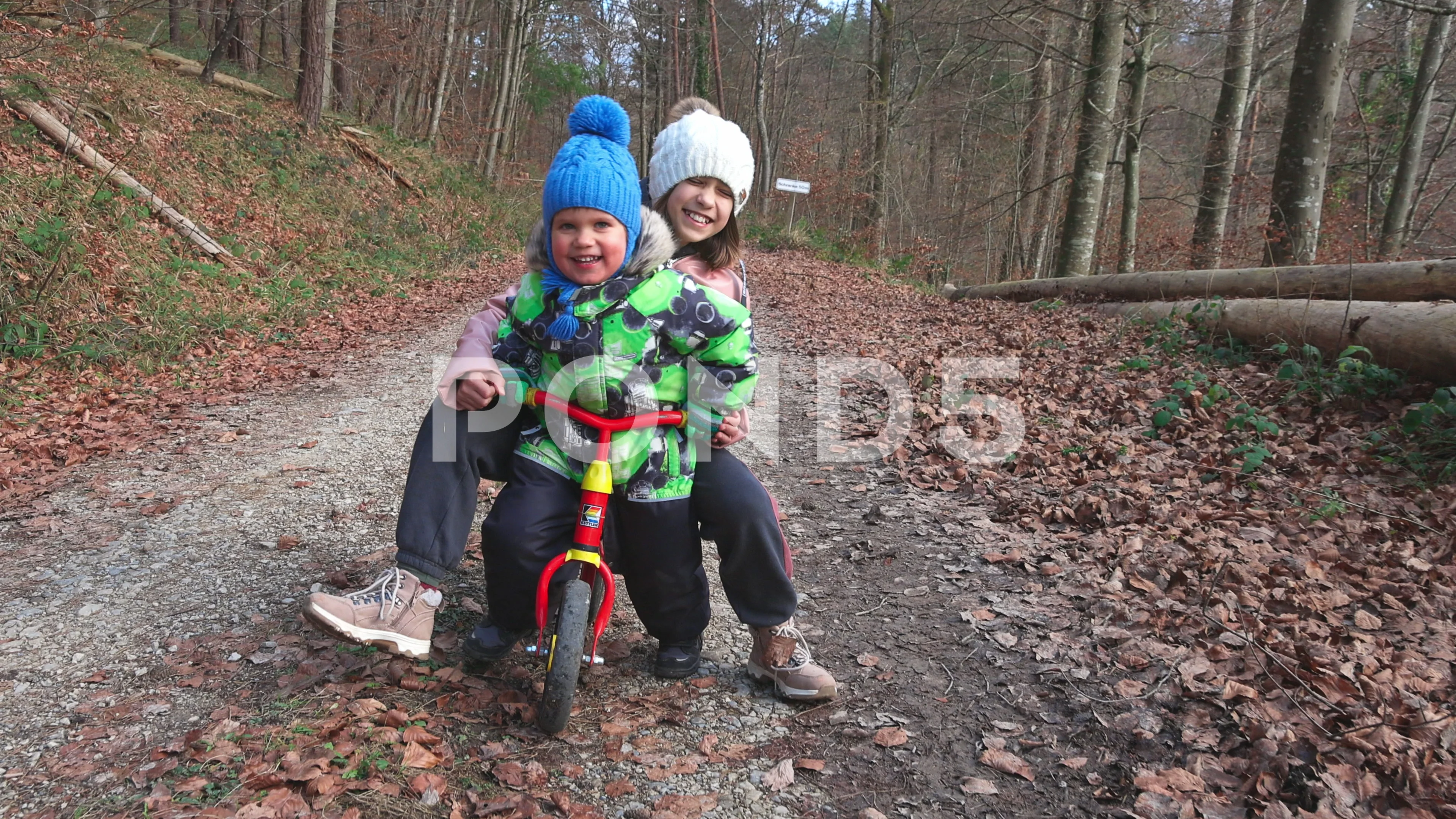 Bike ride with sister and brother in autumn forest