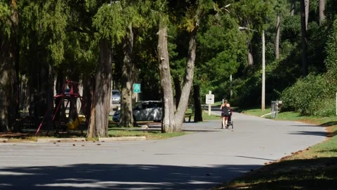 Bike Ride Through Tree-Lined Street Stock Footage 262215927