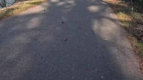 Bike rider shadow Video stock 323896458