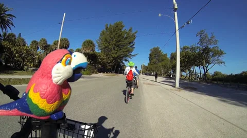 BIKE RIDING IN FLORIDA Stock Footage 37154331