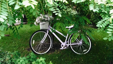 The bike is standing under a tree leaning on the trunk of a tree Stock Footage 163901150
