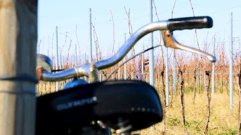Bike supported by wineyard nera pruning old man Stock Footage 122197403