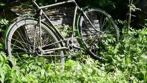 Bike in the thick grass Stock Footage 110834222