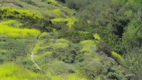 Bike Trail Distant Static Shot Stock Footage 107256025