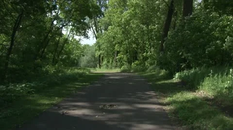 Bike Trail Video stock 11115242