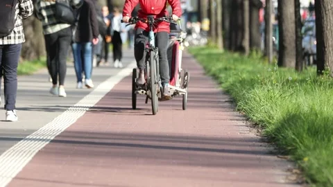 Bike trailer Stock Footage 191553822