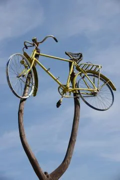 Bike up in a tree Stock Photos