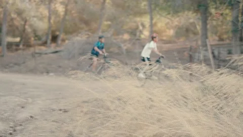 Bike trip in the forest Stock Footage 221025058