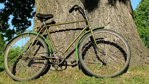 Bike at the trunk of an oak, profile Stock Footage 110834409