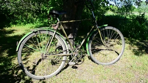 Bike under the tree Stock Footage 110834853