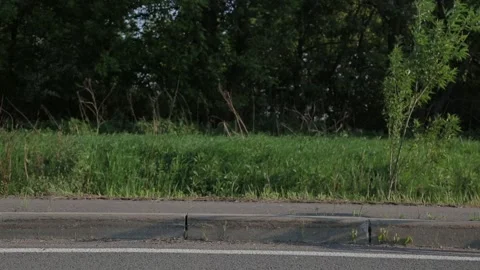 The bike wheel rolls down the road Stock Footage 105960005