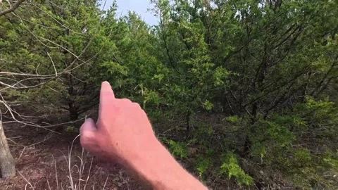 Bikepacking POV Exploring Juniper Woodland Near Route 66 스톡 동영상 340077053