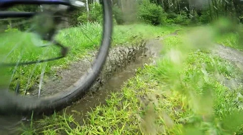 Biker on bicycle riding on muddy forest track. Video stock 63403482