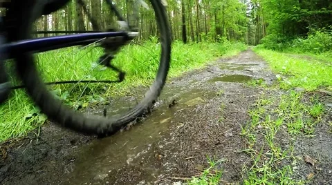 Biker on bicycle riding on muddy forest track. Video stock 63403786