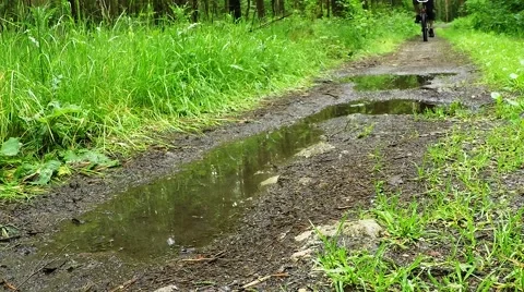 Biker on bicycle riding on muddy forest track. 動画素材 63403915