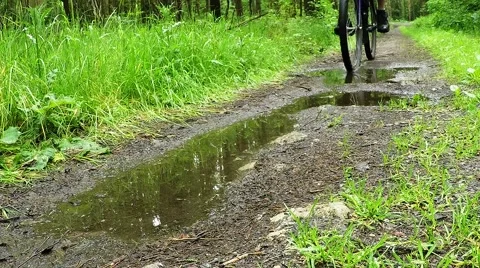 Biker on bicycle riding on muddy forest track. 스톡 동영상 63404492