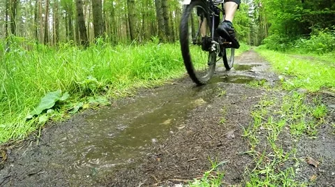 Biker on bicycle riding on muddy forest track. Stock Footage 63404656