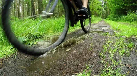 Biker on bicycle riding on muddy forest track. Video stock 63404668