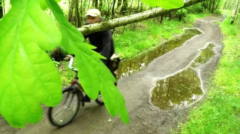 Biker on bicycle riding on muddy forest track. Stock-Footage 63404908